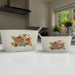 Peut inclure: Deux bacs de rangement ovales en métal crème avec des bords intérieurs rouges et des poignées latérales. Chaque bac présente un motif imprimé de citrouilles orange, d'une citrouille sarcelle et de tournesols jaunes sur la face avant.
