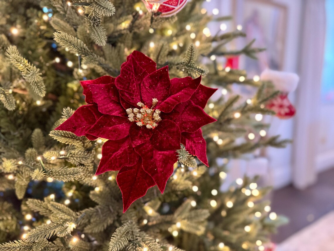 Red Velvet Poinsettia With Gold Glitter Centre - Christmas Flower ...