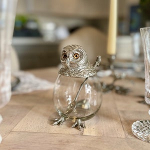 Könnte beinhalten: Ein durchsichtiger Glasbehälter mit einem silbernen, eulenförmigen Deckel und einem silbernen Löffel im Inneren. Der Behälter hat silberne Eulenfüße.