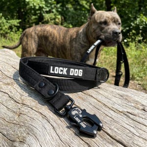 Może przedstawiać: Czarna smycz dla psa wykonana z nylonu z prostokątną naszywką z białym napisem LOCK DOG. Smycz posiada wytrzymały czarny metalowy karabińczyk z wygrawerowanym napisem LOCK DOG i ikoną goryla, a także metalowe kółko w kształcie litery D i zatrzaski.