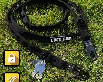 Anti-theft dog leash + collar in one 2 locks + 3 keys made in GERMANY