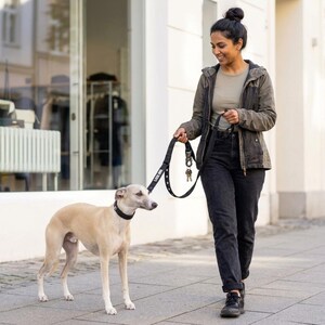 Może przedstawiać: Czarna smycz dla psa z metalowymi oczkami i metalowym zapięciem, z białym napisem LOCK DOG. Smycz jest przypięta do czarnej obroży noszonej przez jasnobrązowego psa o krótkiej sierści, stojącego na wybrukowanej powierzchni na zewnątrz.