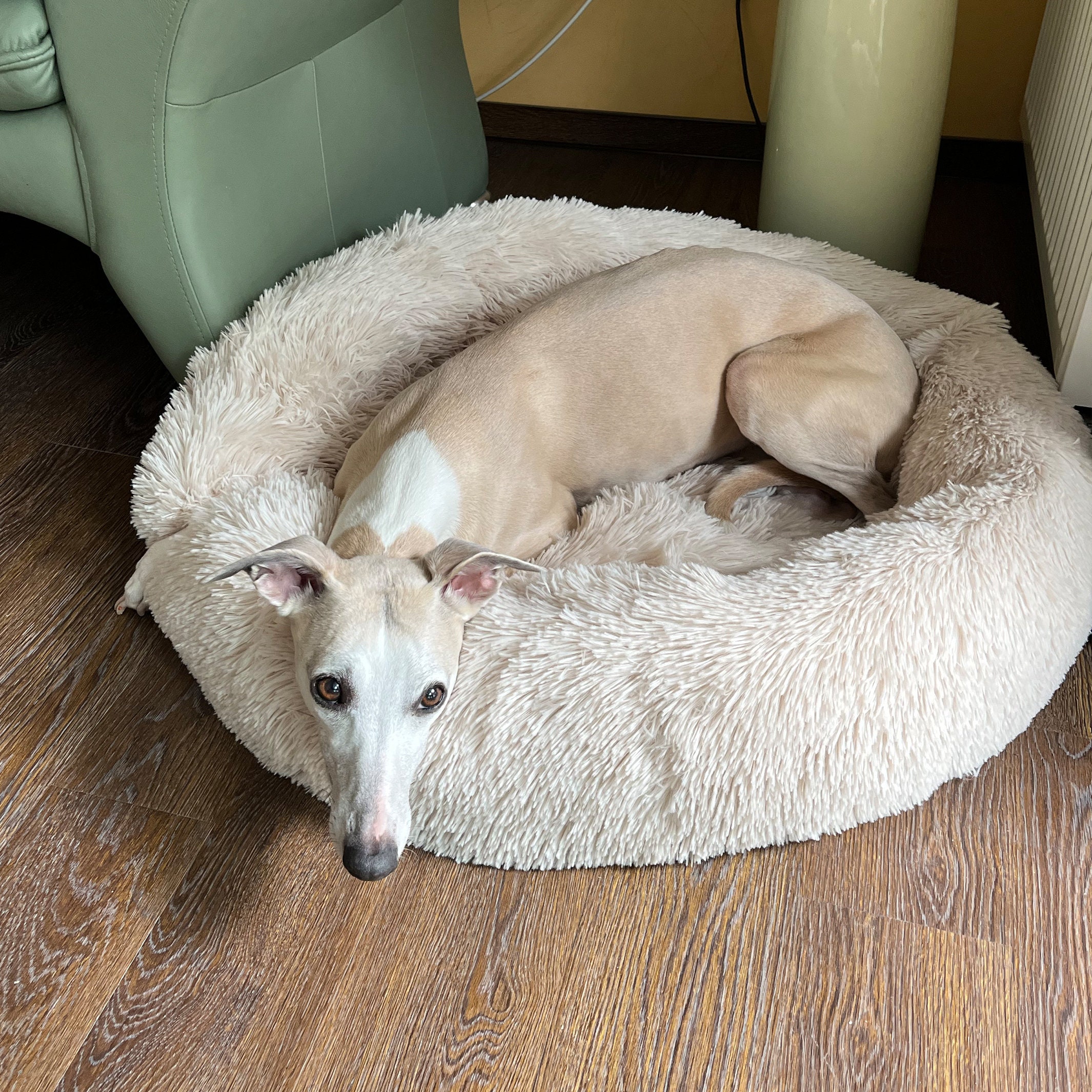 Fluffy Antistress Dog Bed & Cat Bed Cuddly Bed Donut Ø 80 Cm Etsy