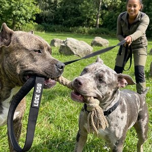 Smycz dla psa odporna na ugryzienia z 2 karabińczykami nożycowymi, udźwig 130 kg
