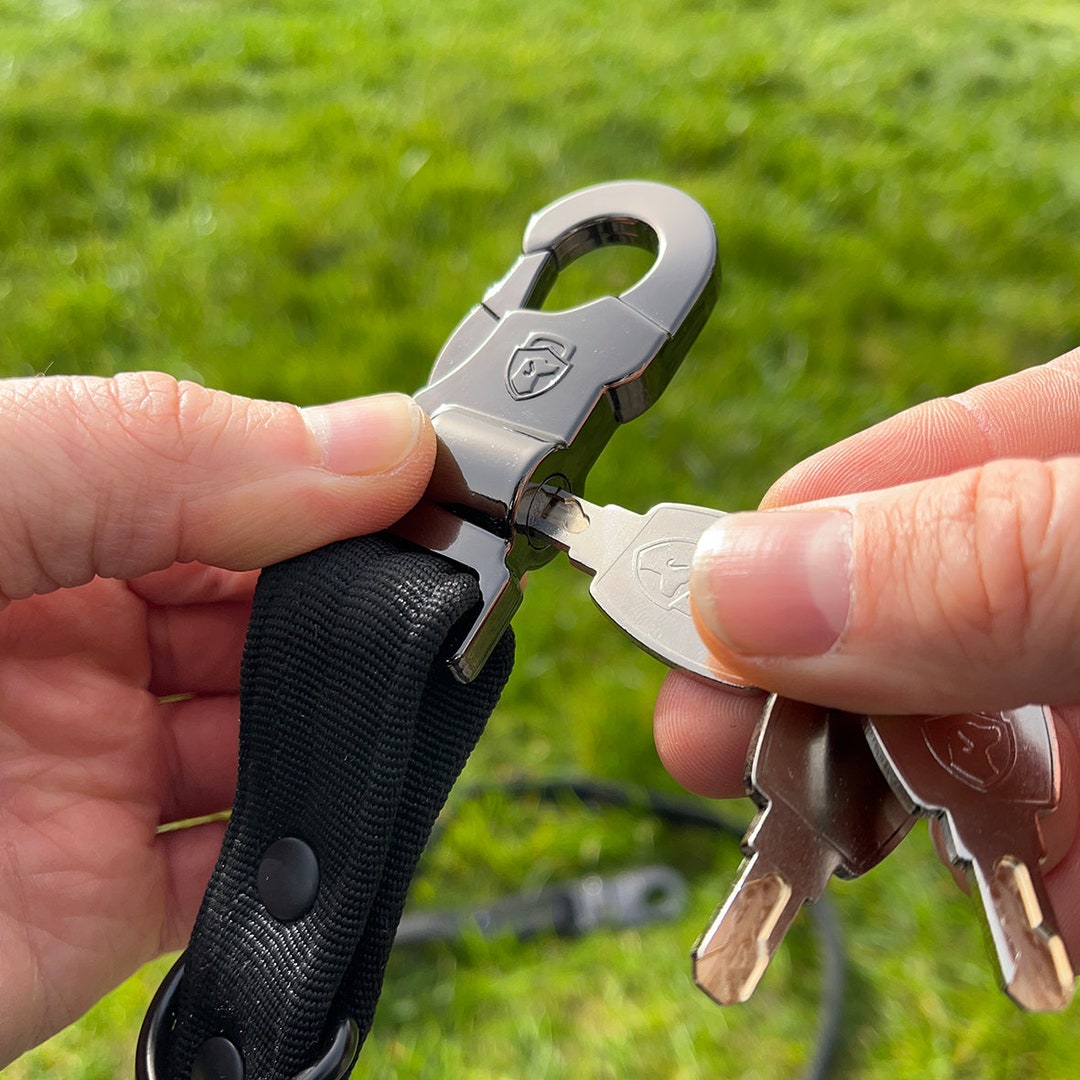 Lockable Dog Leash and Collar in One, Cut-resistant, 85 Kg Load ...