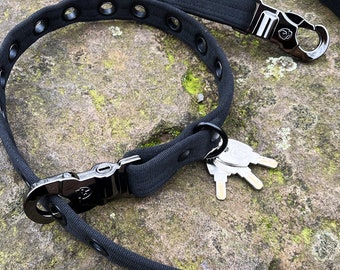 Anti-theft dog leash + collar in one 2 locks + 3 keys made in GERMANY