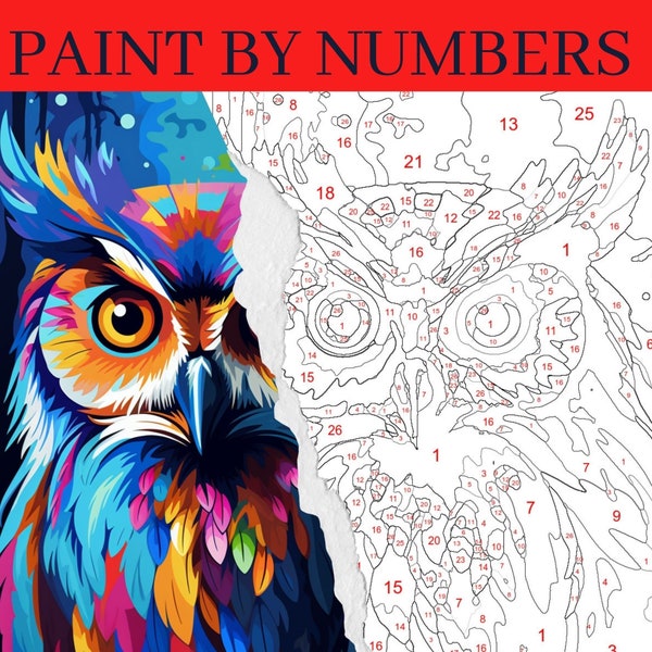 Paint by Number Kit, Owl Etsy