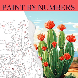 Kit di pittura con i numeri di cactus, kit di pittura paesaggistica, pittura per adulti con i numeri, pittura fai da te, pittura rilassante per adulti