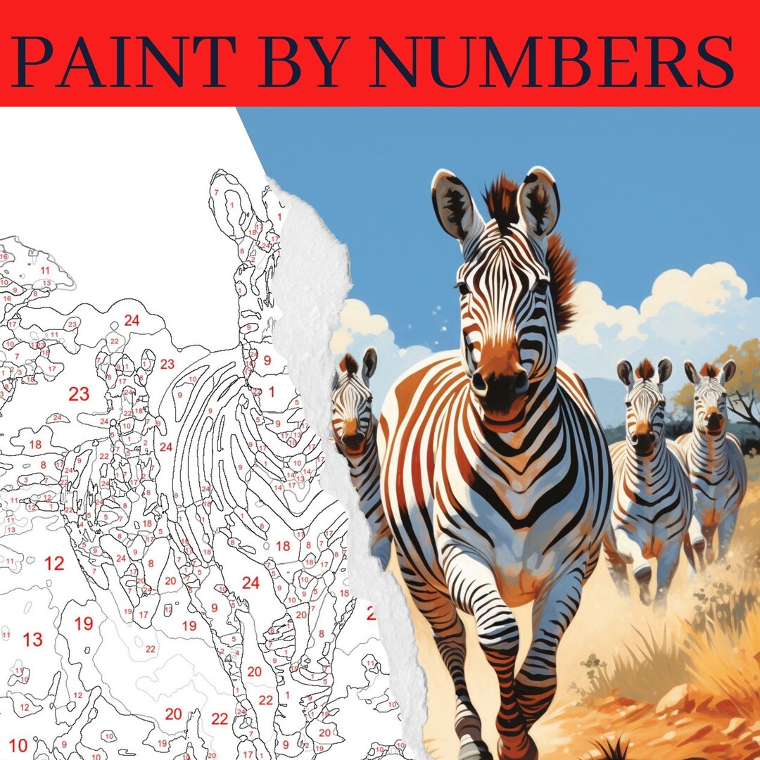Zebra Paint by Number Kit, Animal Painting Kit, Adult Color by Number