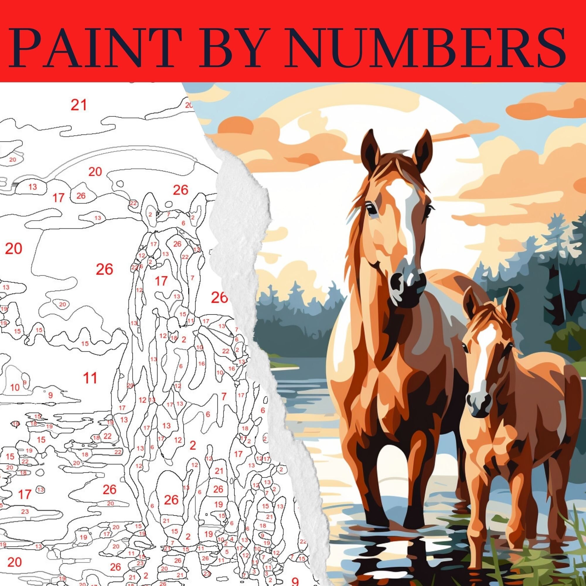 Horse & Foal Large Paint by Numbers Kit for Adults Free Shipping
