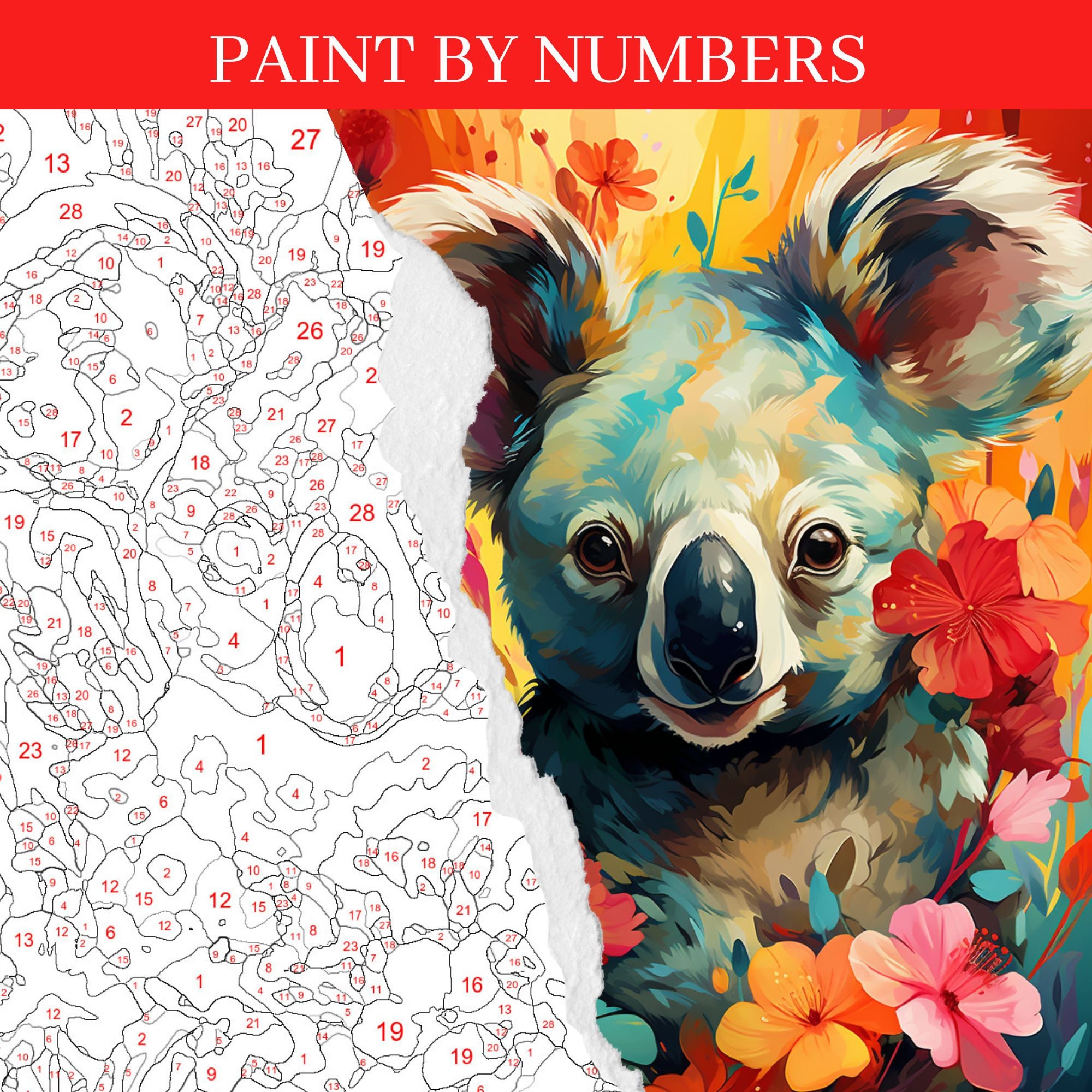 Koala Paint by Number Kit, Animal Painting Kit, Color by Number, Adult ...
