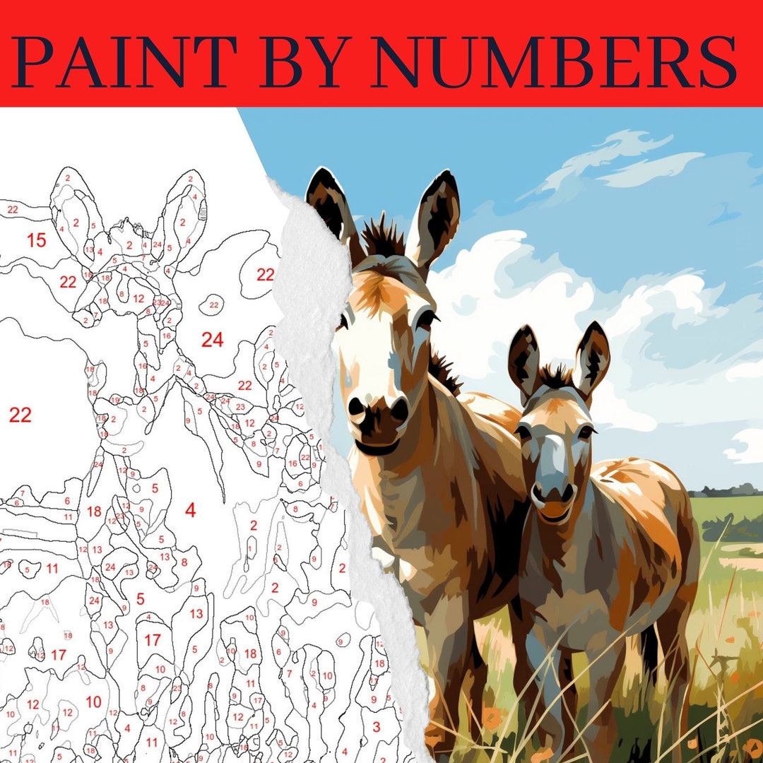Donkey Paint by Number Kit, Animal Painting Kit, Adult Color by Number, DIY Painting, Adult