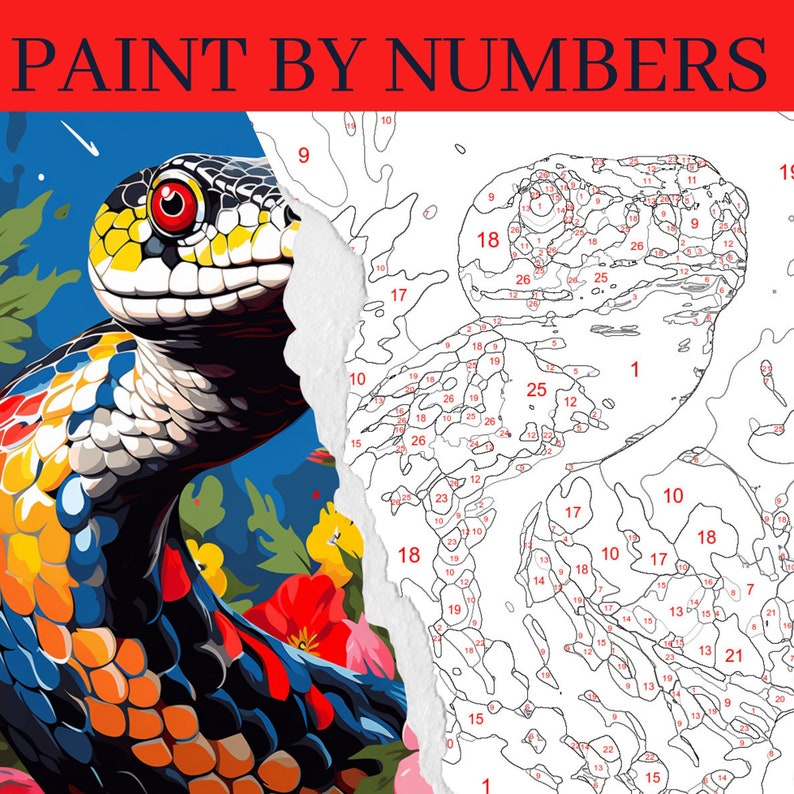 Snake Paint by Number Kit, Animal Painting Kit, Adult Color by Number ...