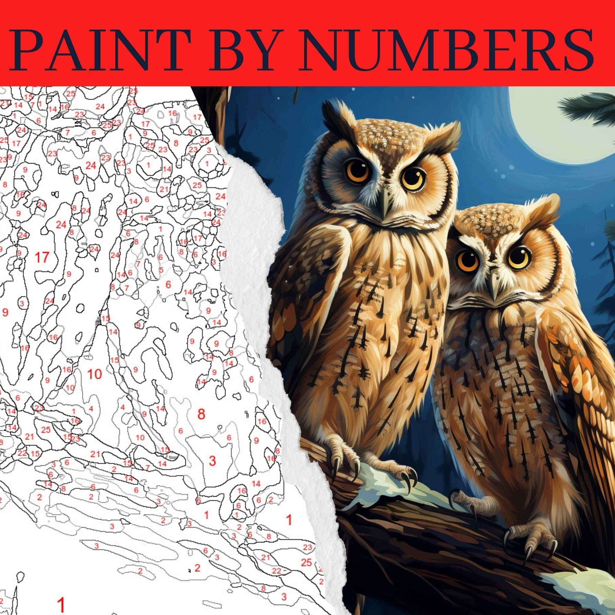 Paint by Numbers for Kids Ages 8-12 Girls - Owl Bird Animal Cute - Acrylic  Painting Kit for Kids & Adults Beginner 40x50cm : : Home &  Kitchen