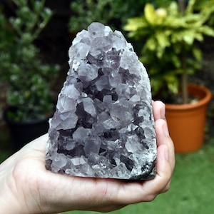 Könnte beinhalten: Ein großer Amethyst-Kristallcluster mit einer Mischung aus dunkelvioletten und durchscheinenden Kristallspitzen. Der Kristall wird in einer Hand gehalten, mit einem verschwommenen Hintergrund aus grünen Pflanzen und orangefarbenen Töpfen.