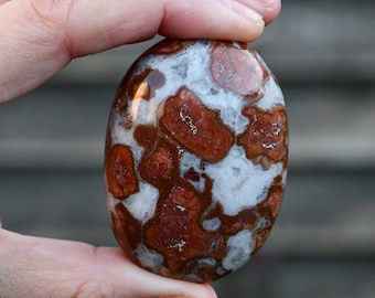 May include: A smooth, oval-shaped polished stone with a white and brown mottled pattern. The stone has a natural, organic look.