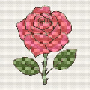 May include: A pink rose with green leaves and a thorny stem. The rose is a single bloom with a delicate, layered appearance.