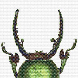 Gráfico de ponto cruz – Besouro-veado verde. Adequado para Pattern Kееper, arquivo PDF, cruz simples, diagramas claros, padrão de crochê, tapeçaria simples