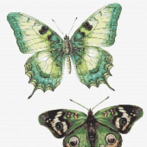 Gráfico de ponto cruz – Conjunto de borboletas verdes realistas. Compatível com PK, arquivo PDF, cruz simples, diagramas claros, padrão de crochê, tapeçaria simples