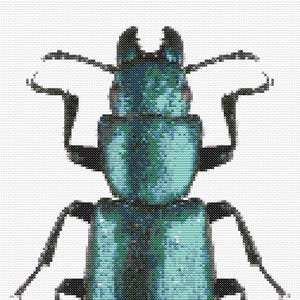 Gráfico de ponto cruz – Beetle em tons verde-azulados. Pattern Kееper, arquivo PDF, cruz simples, diagramas claros, padrão de crochê, tapeçaria simples