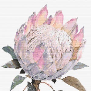 Gráfico de ponto cruz – Fantasy Protea em tons suaves e suaves. Pattern Keeper, arquivo PDF, cruz simples, diagramas claros, padrão de crochê, tapeçaria simples