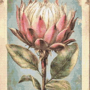 Gráfico de ponto cruz – Cartão postal vintage. Monogramas. Haste de protea com folhas, arquivo PDF, cruz simples, diagramas claros, padrão de crochê, tapeçaria simples