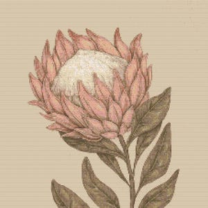 Kreuzstichvorlage Vintage Postkarte.Protea. Auch verwendbar für PaKeep,PDF Datei,einfaches Kreuz,Häkelmuster,einfacher Wandbehang