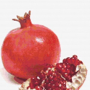 Gráfico de ponto cruz Fruta de romã realista. Adequado para iniciantes, arquivo PDF, cruz simples, diagramas claros, padrão de crochê, tapeçaria simples