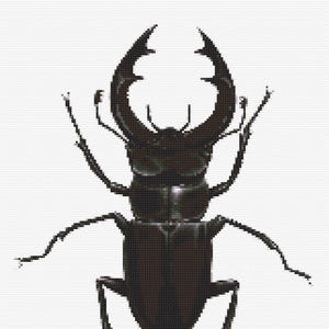 Gráfico de ponto cruz – Black Horn Beetle Compatível com Pattern Keeper, arquivo PDF, cruz simples, diagramas claros, padrão de crochê, tapeçaria simples