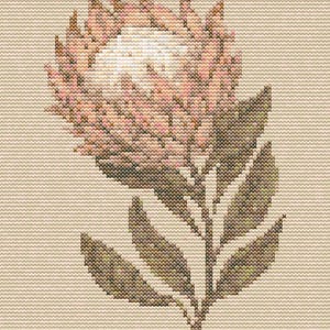 Gráfico de ponto cruz Protea em cores pastel. Para iniciantes. Compatível com PK, arquivo PDF, cruz simples, diagramas claros, padrão de crochê, tapeçaria simples