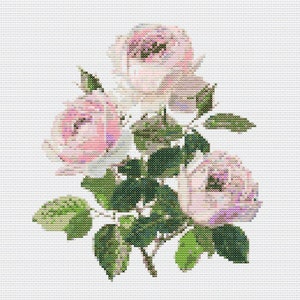 May include: A bouquet of three pink roses with green leaves and stems. The roses are arranged in a cluster, with the blooms facing outward. The background is a white canvas.