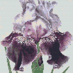 Gráfico de ponto cruz – Iris em tons roxos. Para iniciantes, arquivo PDF, cruz simples, diagramas claros, padrão de crochê, tapeçaria simples