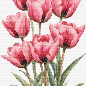 Gráfico de ponto cruz – Buquê realista de tulipas rosa. Compatível com PK, arquivo PDF, cruz simples, diagramas claros, padrão de crochê, tapeçaria simples