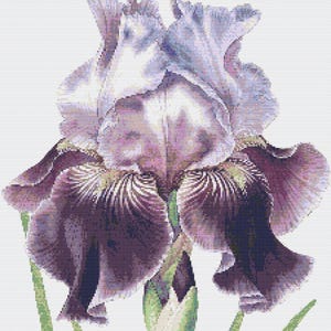 Gráfico de ponto cruz – Iris na cor violeta-lilás. Para mestres avançados, arquivo PDF, cruz simples, diagramas claros, padrão de crochê, tapeçaria simples