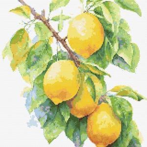May include: A cross-stitch pattern featuring a branch with three bright yellow lemons and several green leaves. The design is rendered in a pixelated style with visible stitches, showcasing the fruit and foliage against a plain white background.