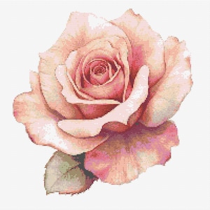 May include: A cross-stitch pattern of a single blooming rose in shades of soft peach, pale pink, and deep magenta. The flower features layered, delicate petals with a central spiral and a single green leaf visible at the base, all rendered on a grid.