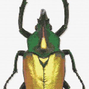 Gráfico de ponto cruz – Besouro Verde Dourado. Compatível com Pattern Keeper, arquivo PDF, ponto cruz simples, diagramas claros, padrão de crochê, tapeçaria simples.