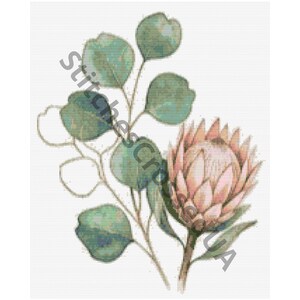 May include: A cross stitch pattern featuring a single pink protea flower with pointed petals and a stem of round, teal-green eucalyptus leaves. The design is rendered in a grid-like stitch style on a white background with a watermark text overlay.