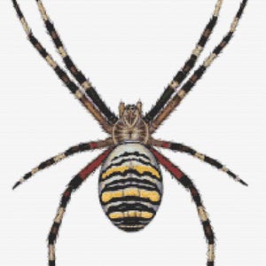 Gráfico de ponto cruz – Aranha vespa Argiope bruennichi. Pattern Keeper, arquivo PDF, cruz simples, diagramas claros, padrão de crochê, tapeçaria simples