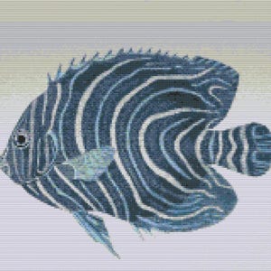 Gráfico de ponto cruz – Peixe-anjo semicircular ou pomacanthus manchado. PK, arquivo PDF, cruz simples, diagramas claros, padrão de crochê, tapeçaria simples