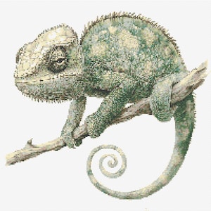 Peut inclure: Un motif de broderie au point de croix représentant un caméléon détaillé perché sur une fine branche texturée. Le reptile est rendu dans des tons de vert sauge, crème et vert forêt foncé, avec une queue enroulée et un œil texturé.