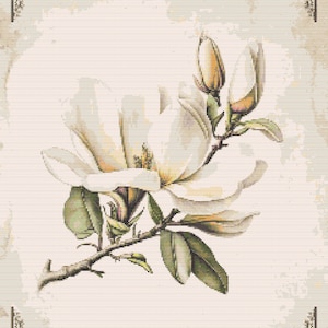Gráfico de ponto cruz – Fundo vintage. Flor de magnólia branca. PK, arquivo PDF, cruz simples, diagramas claros, padrão de crochê, tapeçaria simples