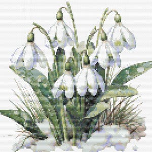 Kruissteekkaart: glade met witte sneeuwklokjes. Voor beginners. PK, pdf-bestand, eenvoudig kruis, duidelijke diagrammen, haakpatroon, eenvoudig wandtapijt