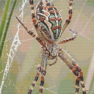Gráfico de ponto cruz – Aranha realista em uma teia. Compatível com PK, arquivo PDF, ponto cruz simples, diagramas claros, padrão de crochê, tapeçaria simples.