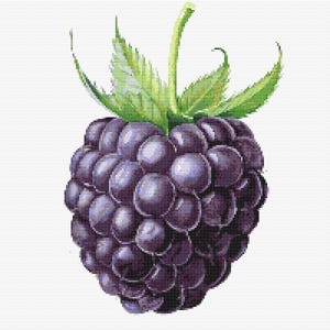 Gráfico de ponto cruz – Blackberry realista. Todos os níveis. Compatível com PK, arquivo PDF, ponto cruz simples, diagramas claros, padrão de crochê, tapeçaria simples.