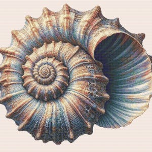 Op de afbeelding: Een grote, spiraalvormige schelp met een bruin, blauw en wit kleurenschema. De schelp heeft een gladde, glanzende afwerking en ingewikkelde details.