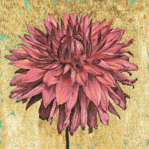 Gráfico de ponto cruz – Aster em tons de rosa sobre fundo dourado. Compatível com PK, cruz simples, diagramas claros, padrão de crochê, tapeçaria simples