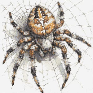 Kruissteekkaart: spinachtige. Araneomorfe spin. Araneus diadematus. PK, pdf, eenvoudig kruis, duidelijke diagrammen, gehaakt patroon, eenvoudig wandtapijt