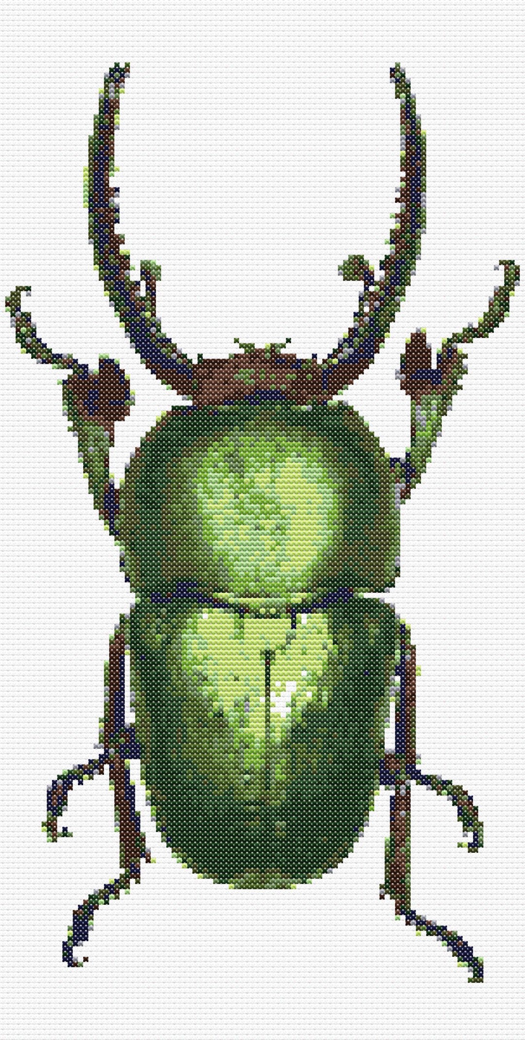 Cross Stitch Chart – Green Stag Beetle. Suitable for Pattern Kееper ...