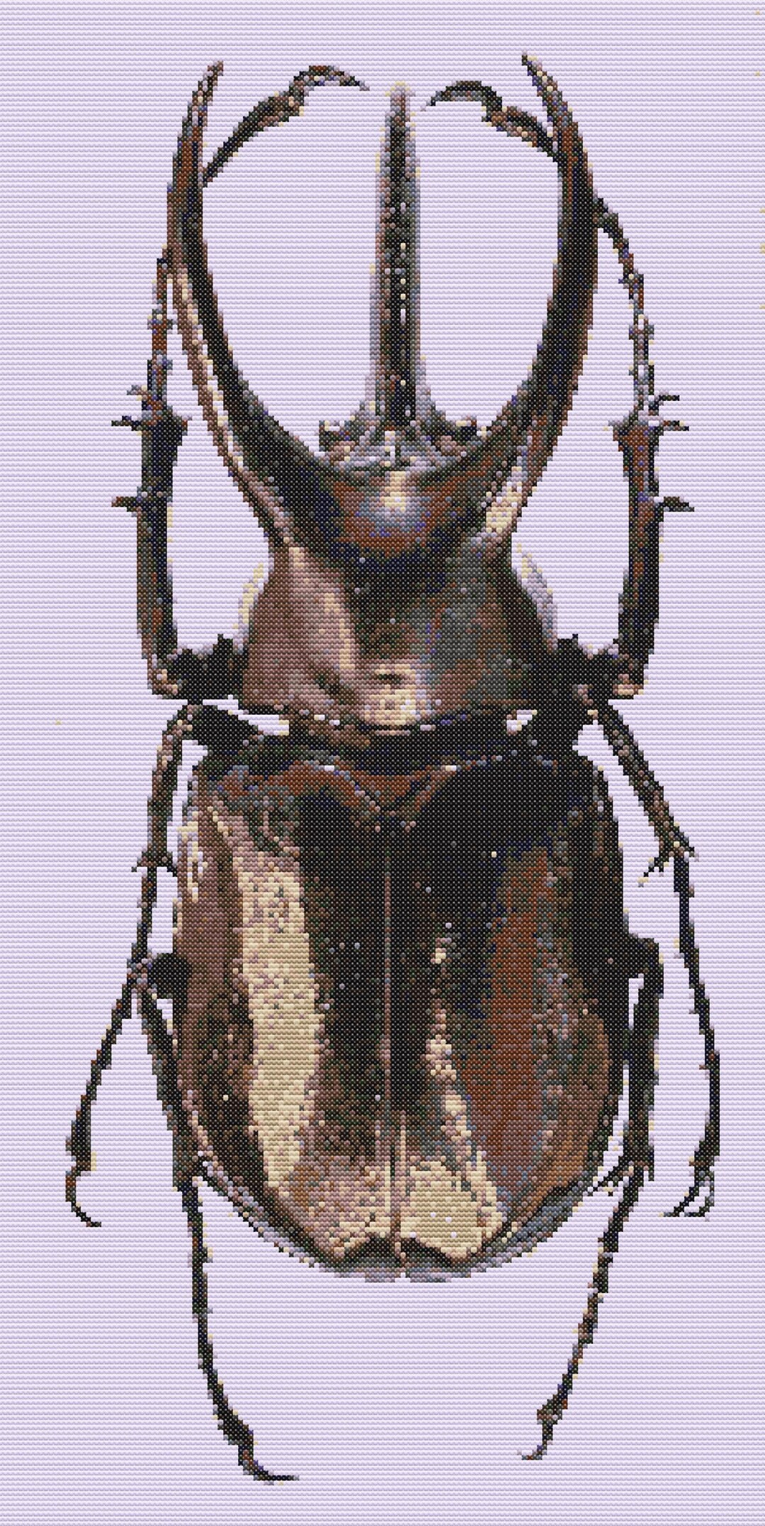 Cross Stitch Chart – Rhinoceros Beetle in Natural Shades.pattern Keeper ...